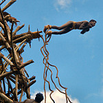 icon Land Jumping